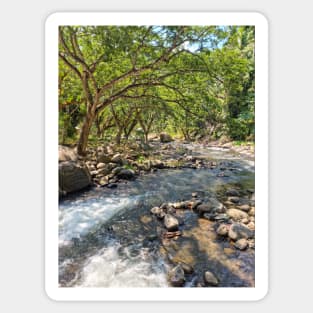 Mountain Stream, Jasaan, Misamis Oriental, Mindanao, Philippines Sticker